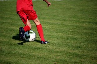 mk体育平台登录入口-法甲营养恢复系统提升球员赛季稳定性调查