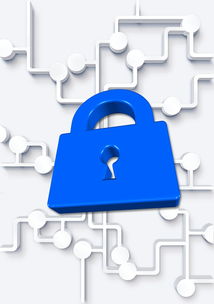 mk体育登录-高校体育社团管理数字化平台构建方案，全国性体育社团